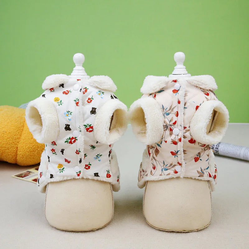 Autumn & Winter Pet Clothes